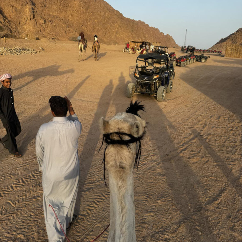 camel-ride