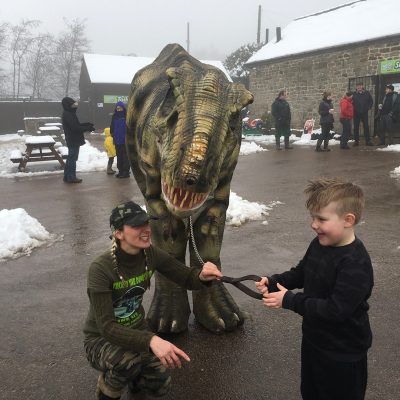 Tricksy the T-Rex at Matlock Farm