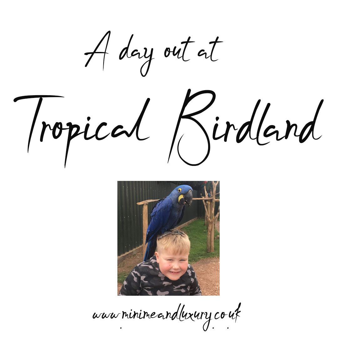 Tropical Birdland