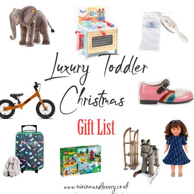 Luxury Toddler Xmas Gift List