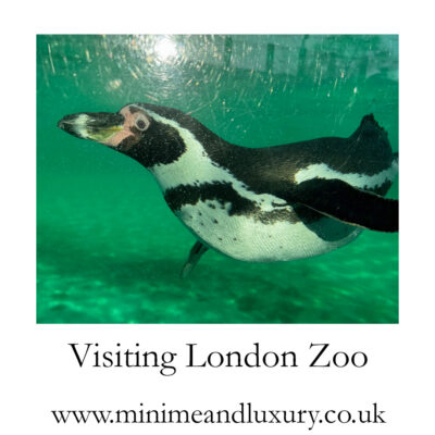 visiting-london-zoo