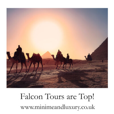 egypt-camels